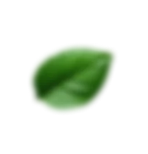 Fresh botanical leaf from the AlphaRock blend